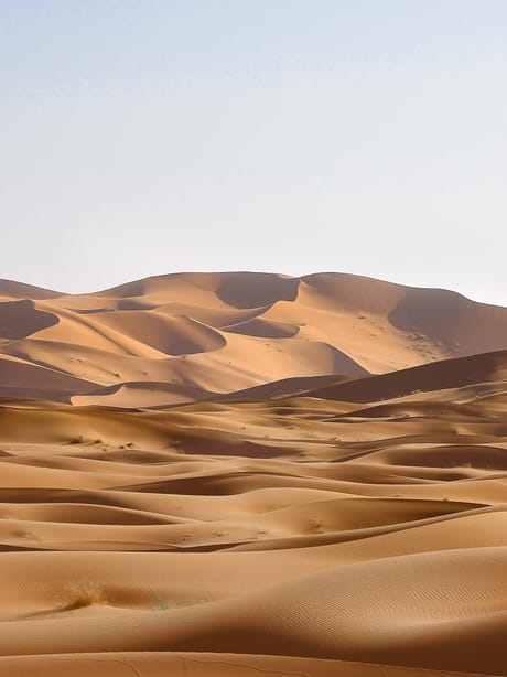 Wind-carved sand at low light — the Dunes background.